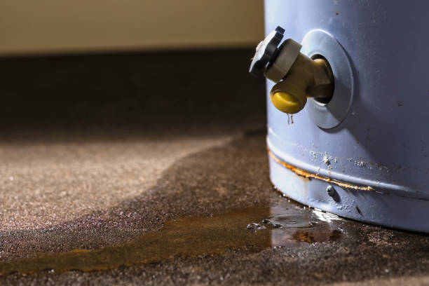 Best Water damage restoration near me  in Camden, AL