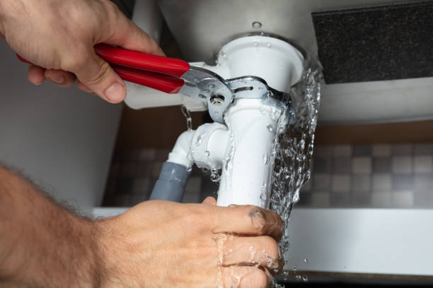 Best Water damage restoration cost  in Camden, AL