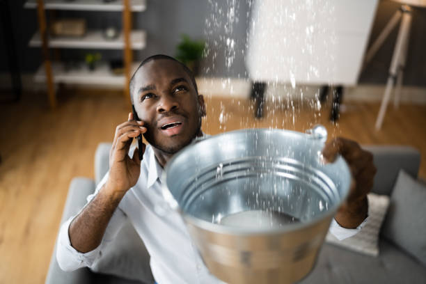 Best 24/7 water damage repair  in Camden, AL