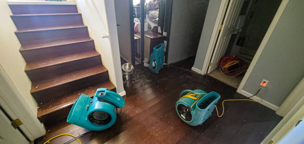 Best Water damage contractors near me  in Camden, AL