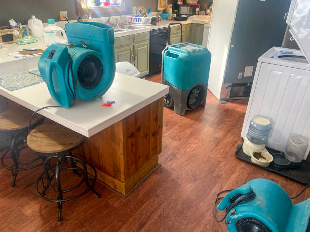 Best 24-hour water damage restoration  in Camden, AL