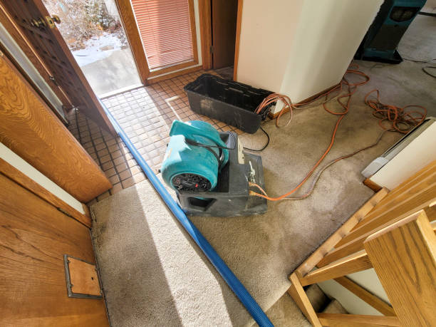 Best Water damage contractors near me  in Camden, AL