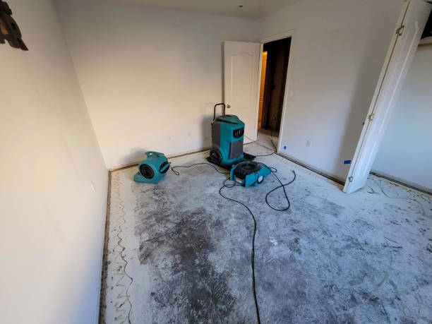 Best Local water damage restoration  in Camden, AL