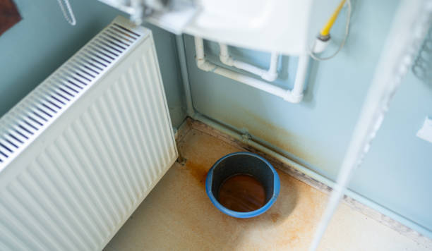 Best Water damage restoration cost  in Camden, AL