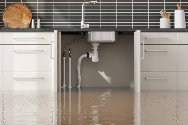 Best Flooded house restoration  in Camden, AL