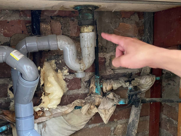Best Emergency water damage restoration  in Camden, AL